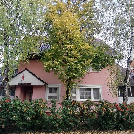 Balogh vendegház Szeged Exterior foto
