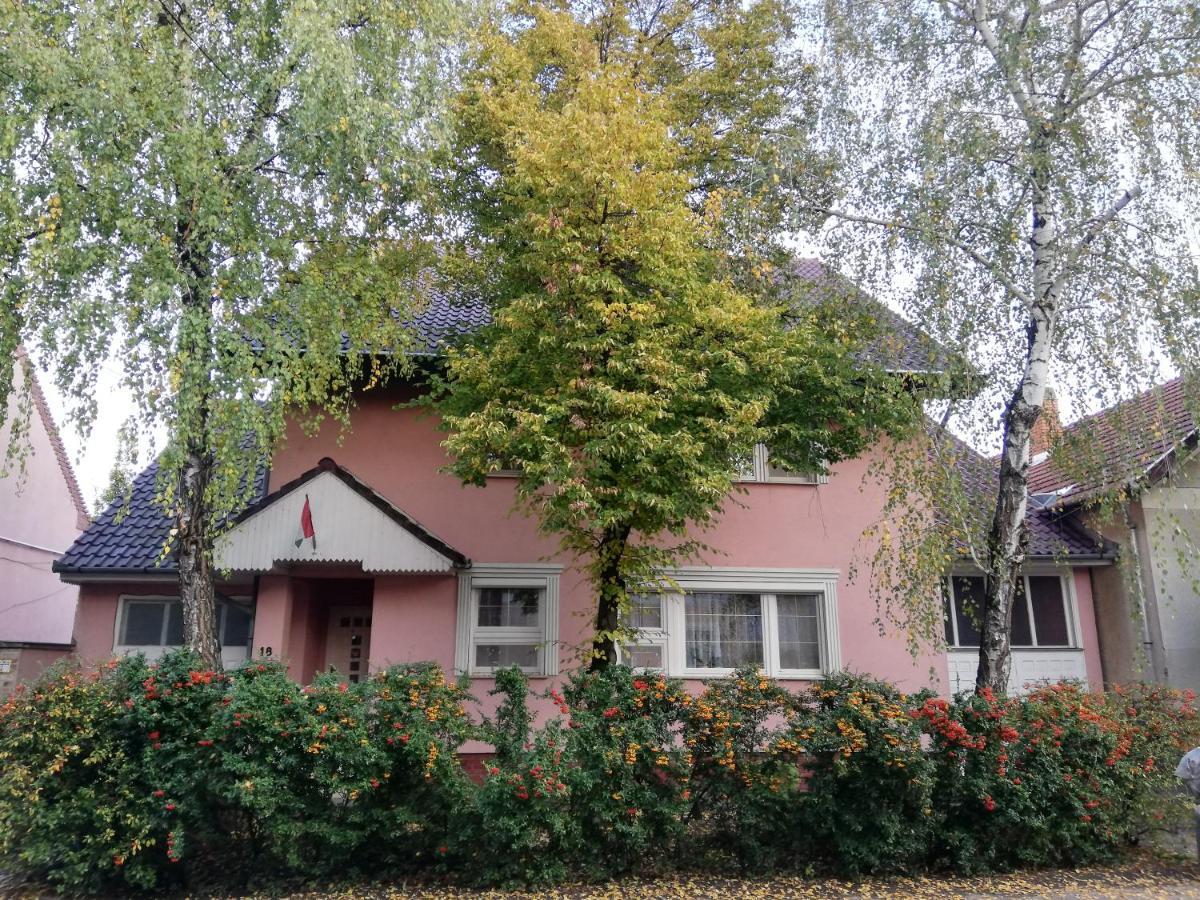 Balogh vendegház Szeged Exterior foto